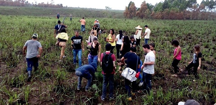 Amigos da Água: mutirão ajuda recuperar nascentes na aldeia Pau Brasil 