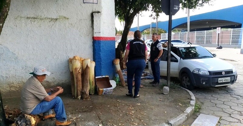 Semana Santa: Confira os pontos autorizados para venda de palmito 