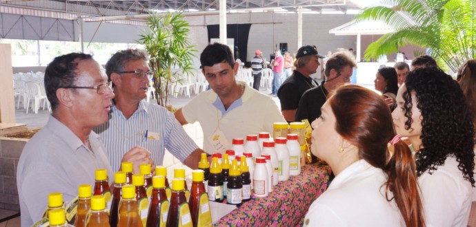 Agricultura: Encontro de Criadores de Abelhas sem Ferrão foi um sucesso