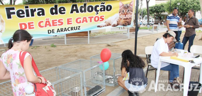 Cães e gatos encontram uma nova família em feira de adoção realizada em Aracruz