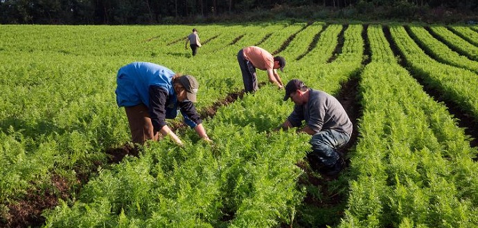 Seminário vai discutir Políticas Públicas de apoio à agricultura familiar 