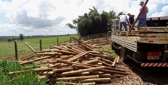 Amigos da Água: mais de cem nascentes já receberam materiais para proteção