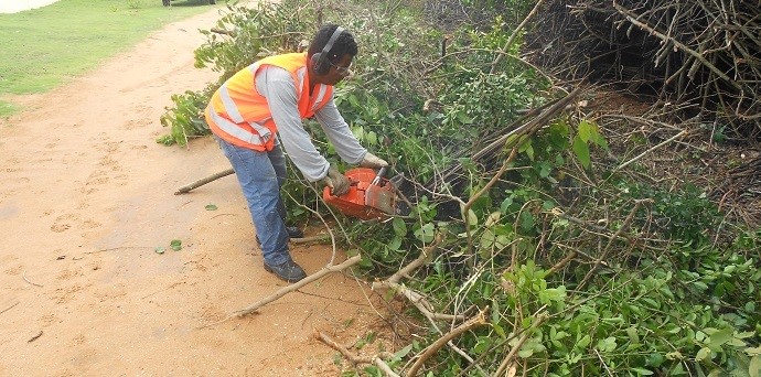 Semam realiza poda de restinga em Putiri