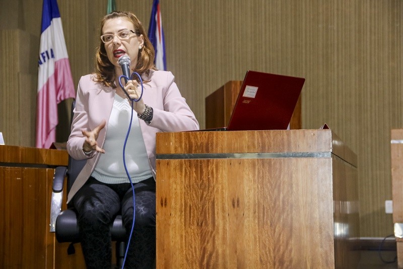 Doutora em Educação, Maria Amélia Dalvi Salgueiro, palestra no Seminário de Conclusão do PNAIC