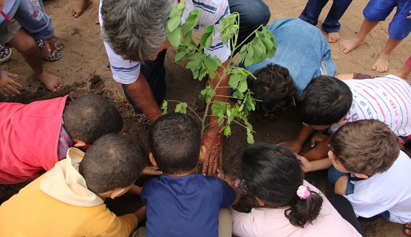 Horta na Escola: Projeto incentiva alimentação saudável aos alunos da Rede Municipal