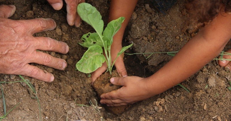 Práticas sustentáveis em escolas da Rede Municipal