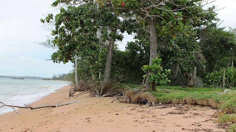 Prefeitura esclarece sobre projeto de recuperação das restingas do litoral de Aracruz