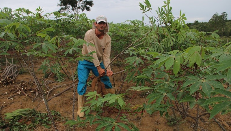 Agricultura Familiar: produtores comemoram participação no Programa de Aquisição de Alimentos