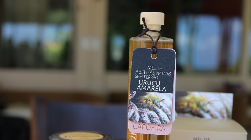 Mel de abelha nativa é uma das opções do Festival Gastronômico Aracruz Sabor Verão