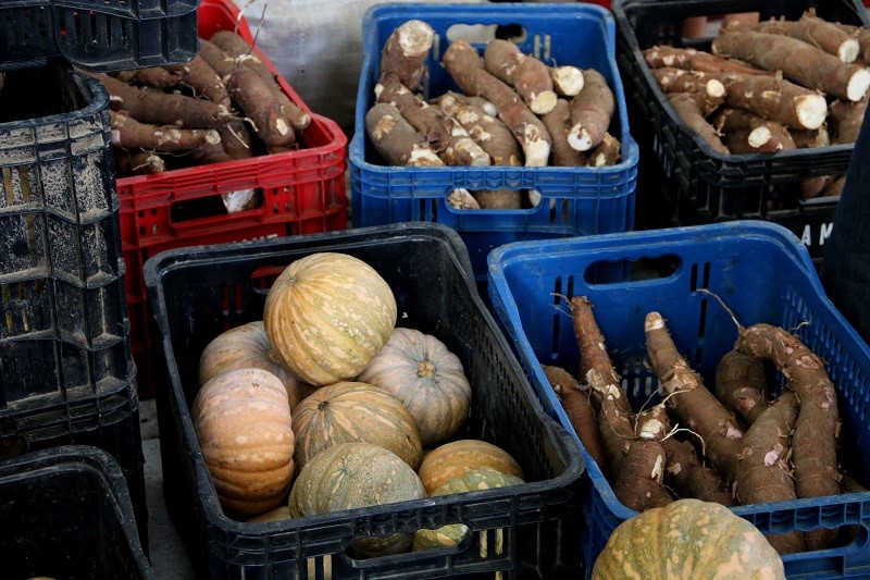 Feira da Agricultura Familiar acontece nesta quarta em Aracruz