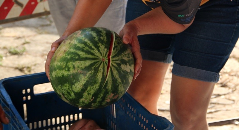 ExpoAgro Vidas: Palestras e oportunidades para o agricultor 