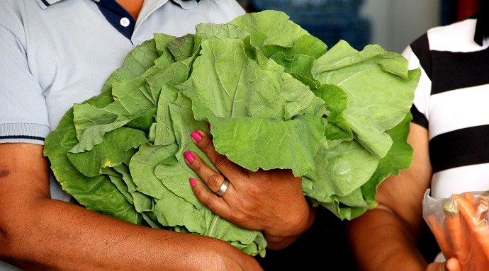 Agricultura aracruzense será destaque na ExpoAgro Vidas