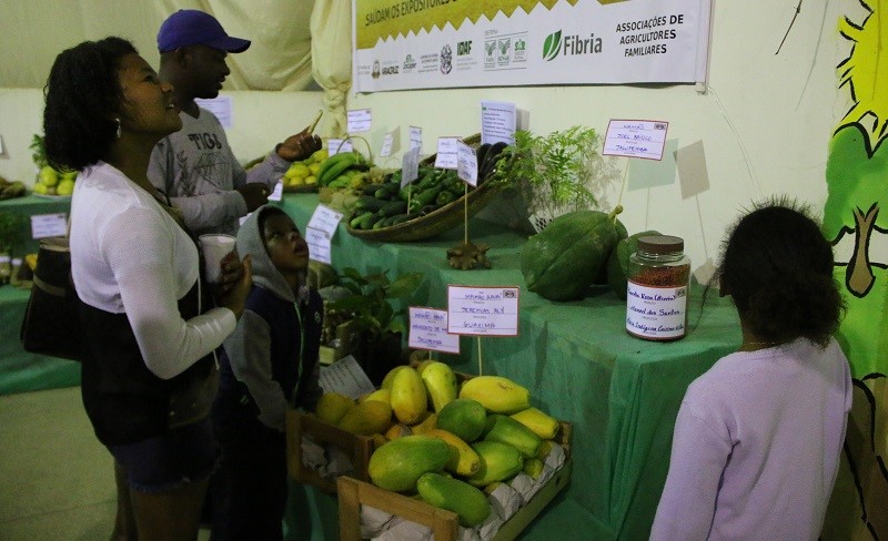 Casa da Agricultura Familiar leva saberes da terra para a ExpoAgro Vidas
