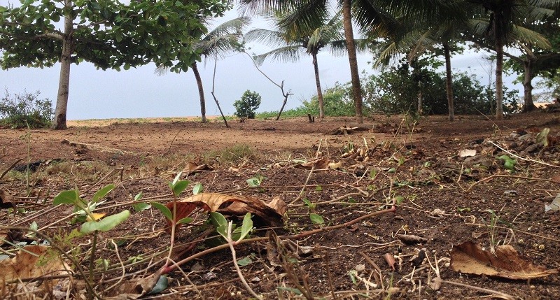 Infraero vai recuperar 15,5 hectares de restinga no litoral de Aracruz