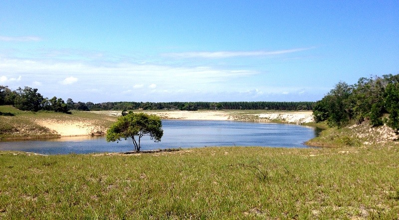Secretaria de Meio Ambiente estuda criação de nova unidade de conservação em Aracruz