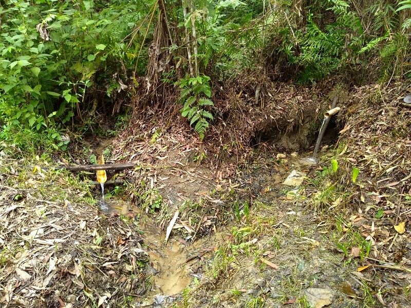    Projeto Amigos da Água instala mais 150 estacas na localidade de Guaxindiba