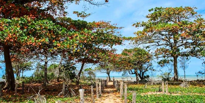 Barra do Sahy entre as melhores praias do ES