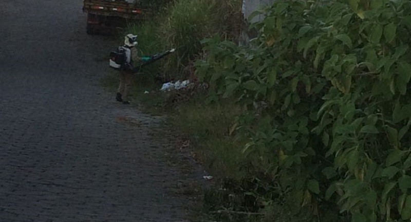 Prefeitura de Aracruz realiza aplicação de inseticida para eliminar fêmeas do mosquito Aedes aegypti