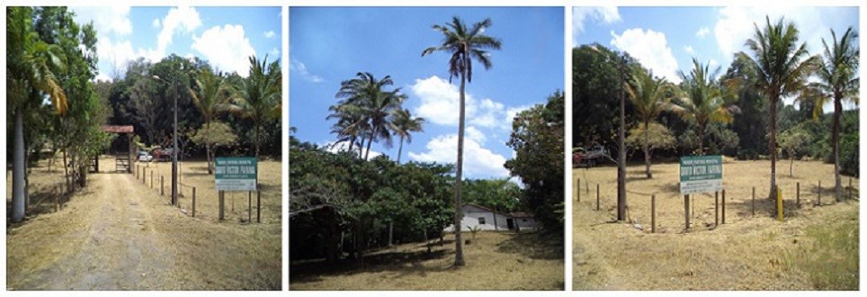 Parque Natural David Victor Farina recebe verba de Compensação Ambiental do Estaleiro Jurong Aracruz 