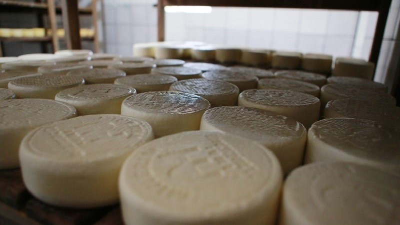 Concurso vai escolher melhor queijo frescal da região